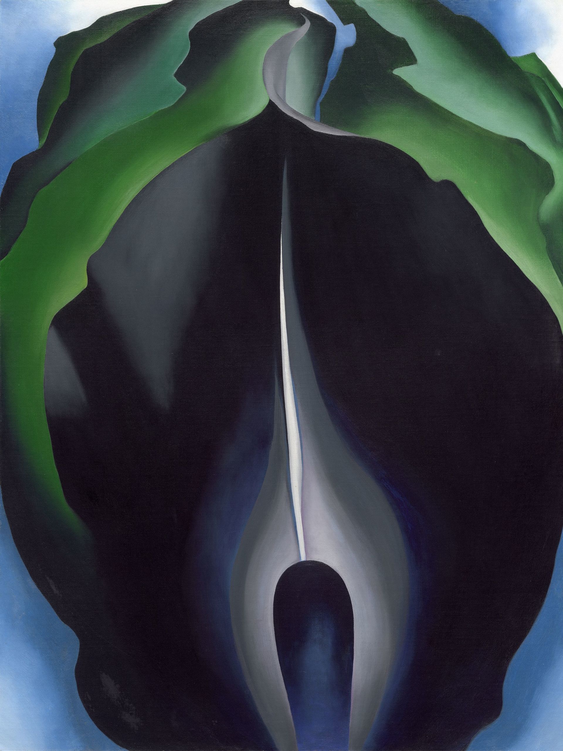 02. O'Keeffe_Jack-in-the-Pulpit No IVA.jpg