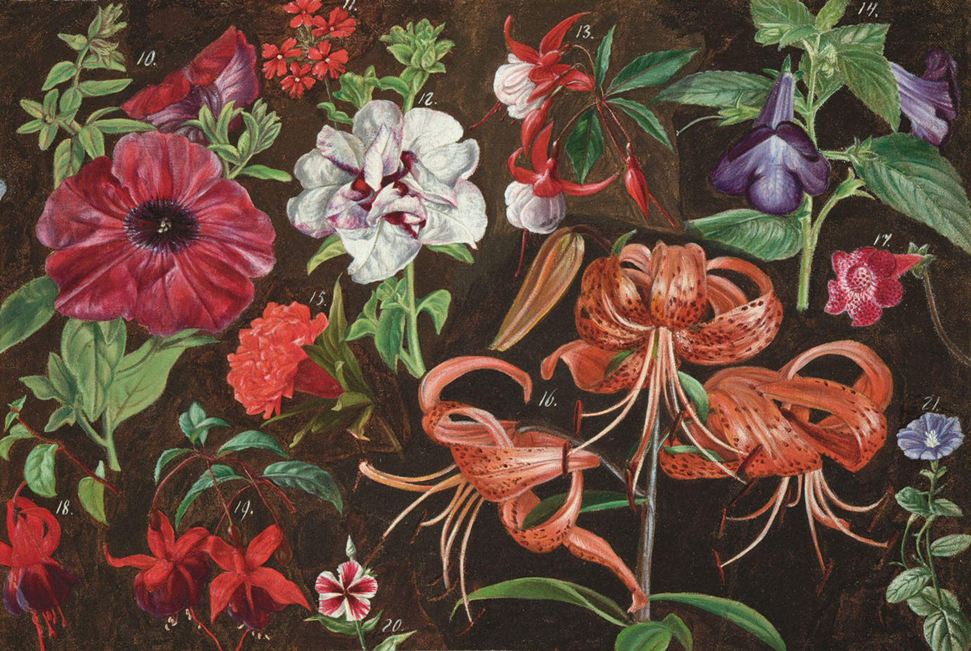 Josef Mánes: Zahradní květiny, bez datace, olej na papíře, Národní galerie Praha