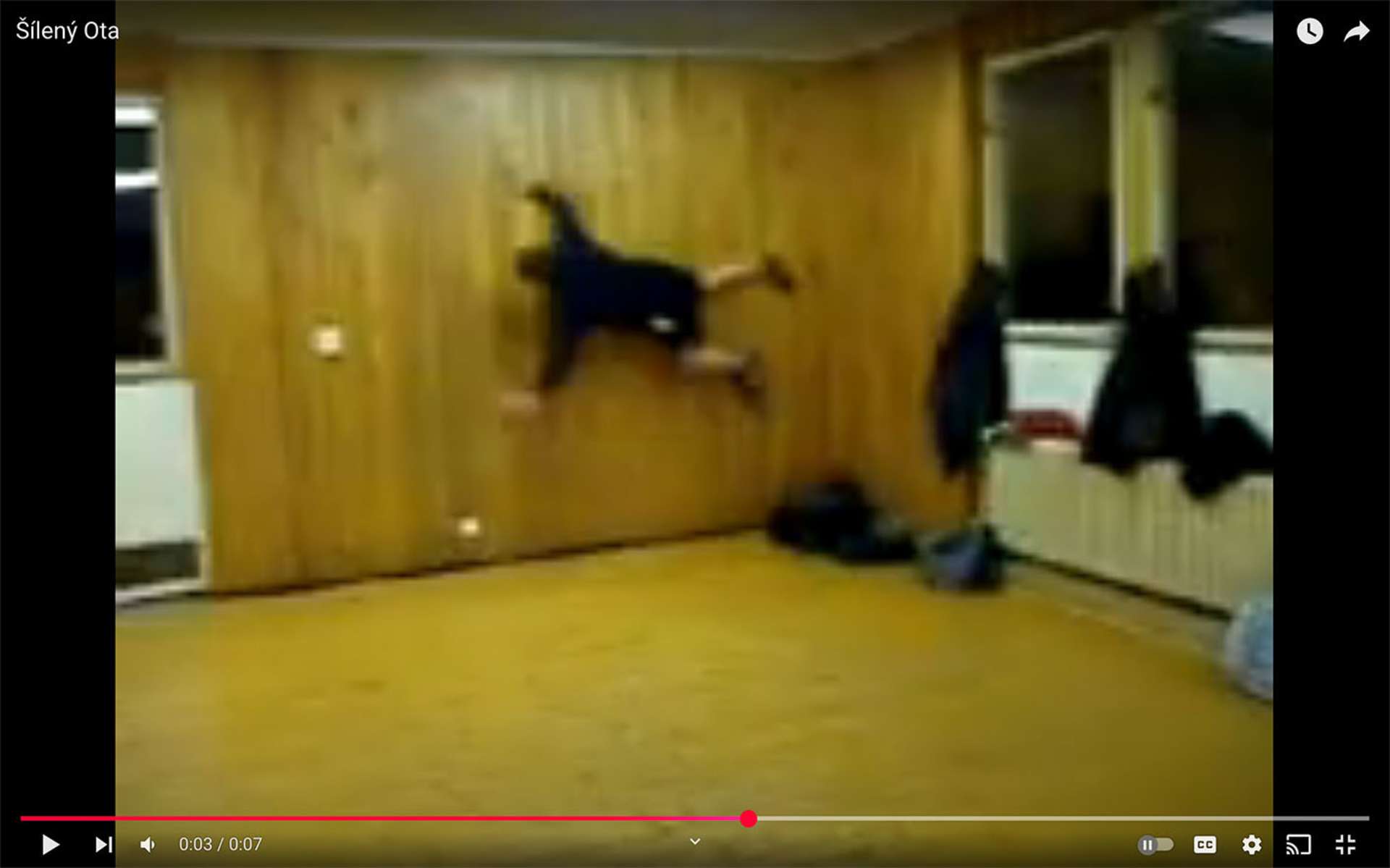 Šílený Ota.jpg