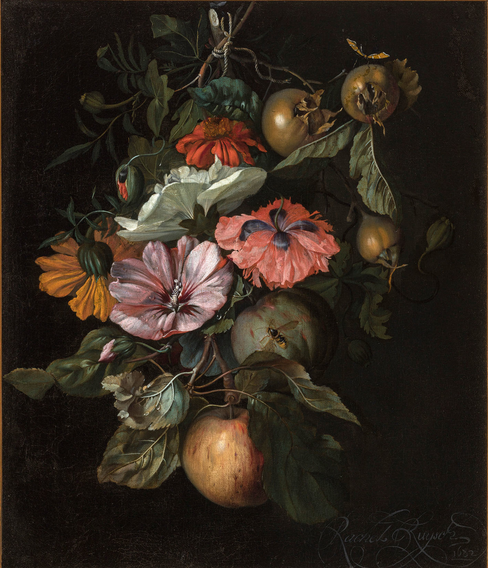 Rachel Ruysch, Feston s ovocem a květinami, 1682, NGP.jpg